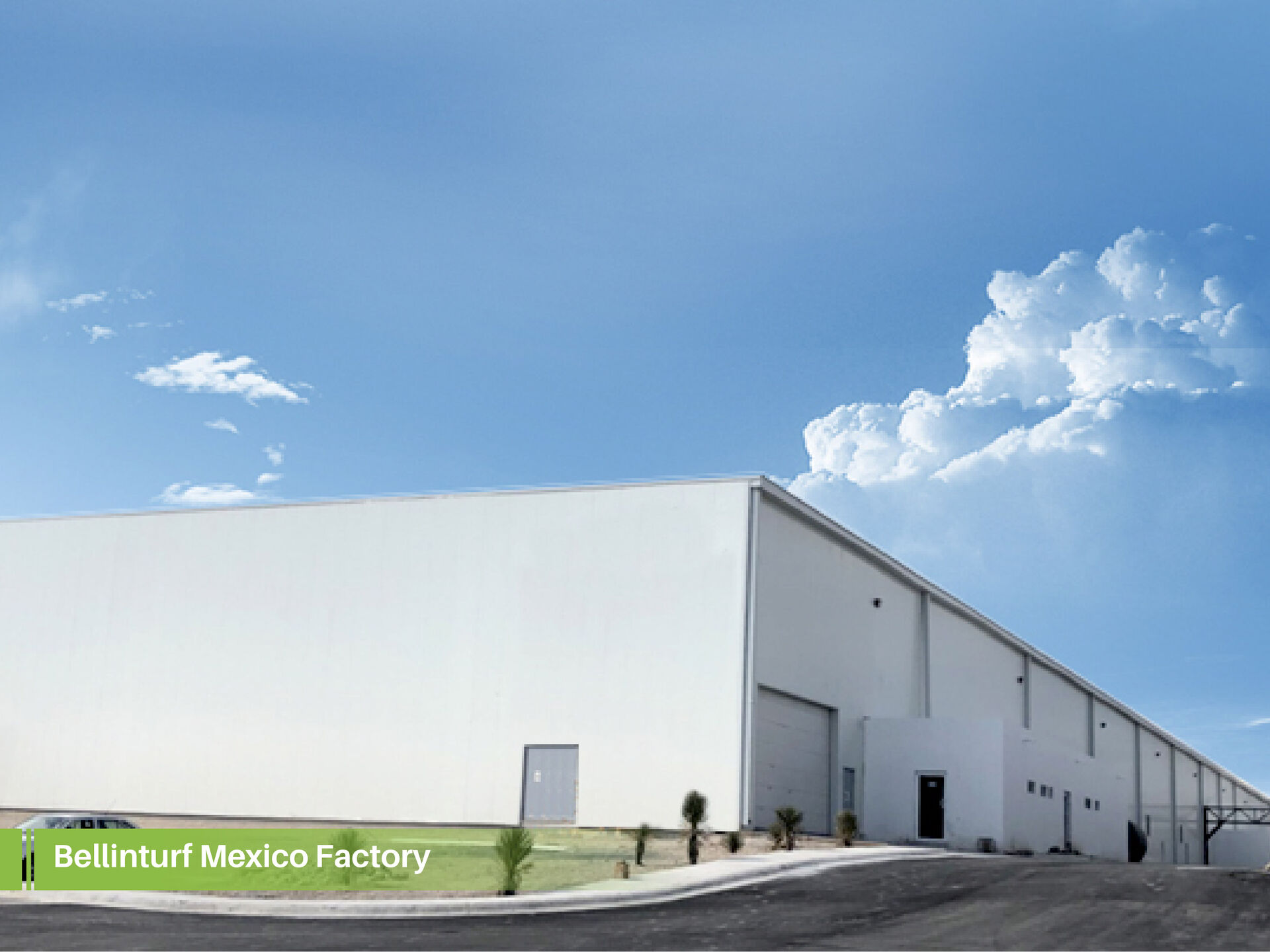 Bellinturf New Factory in Mexico - Faster delivery!