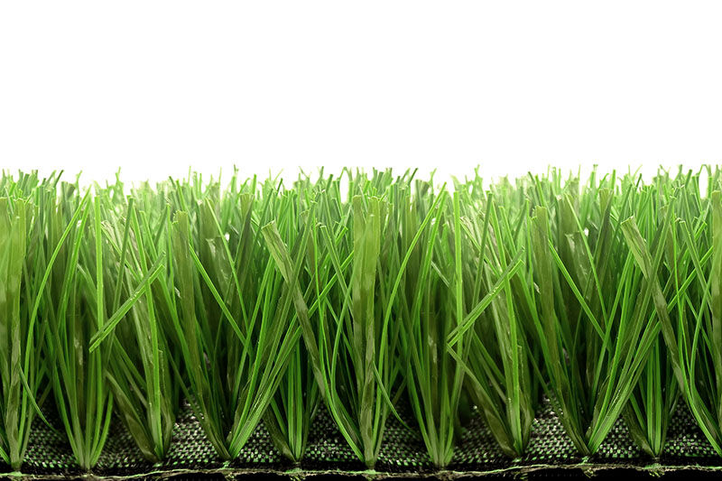Bellin-Hybrid 60P