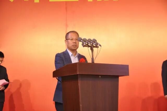 滕州金晶三线技改项目点火投产