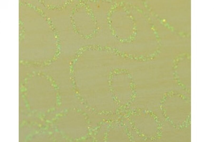 Laminated Glass