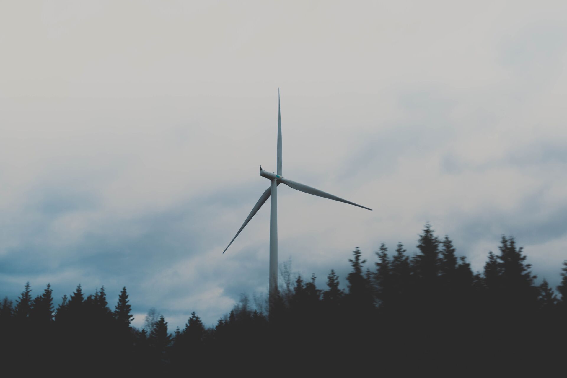 Die Produktion und der Absatz von New Energy Vehicles in China erreichten im August ein neues Rekordhoch