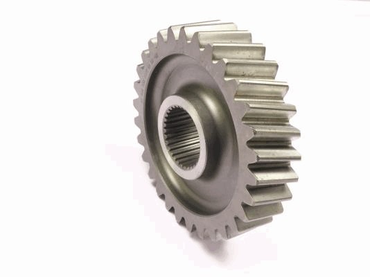 Primary Drive Gear and Secondary Drive Gear