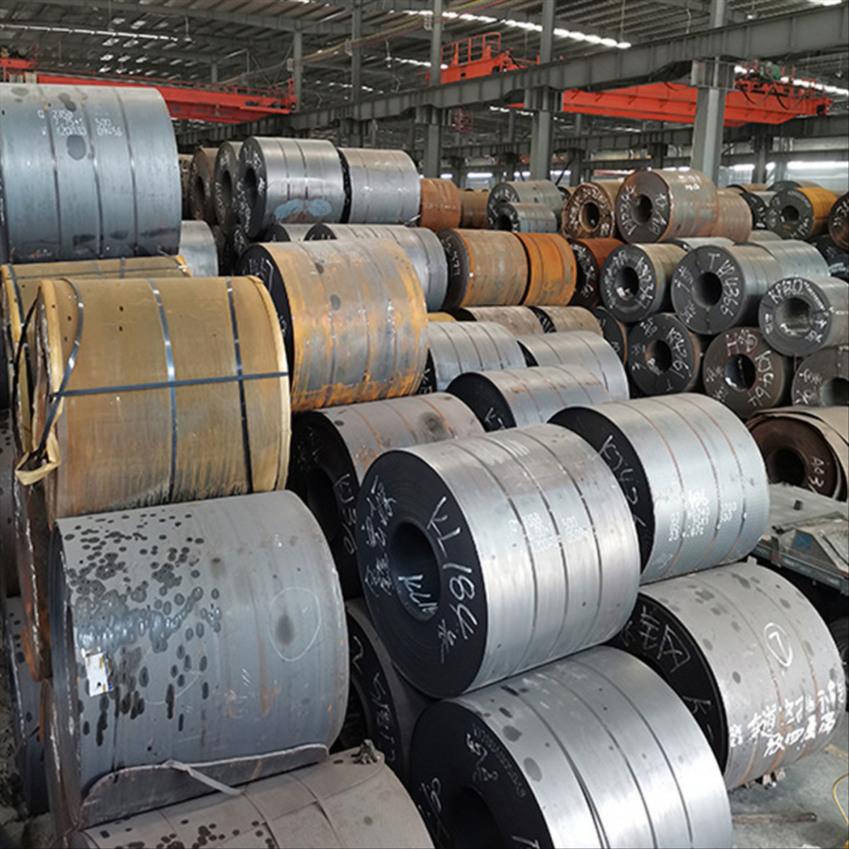 Q175 Carbon Steel Coil