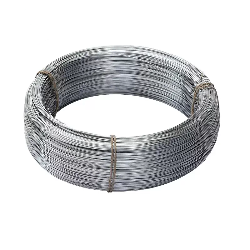Q195 Galvanized Steel Wire Q195 Galvanized Steel Wire