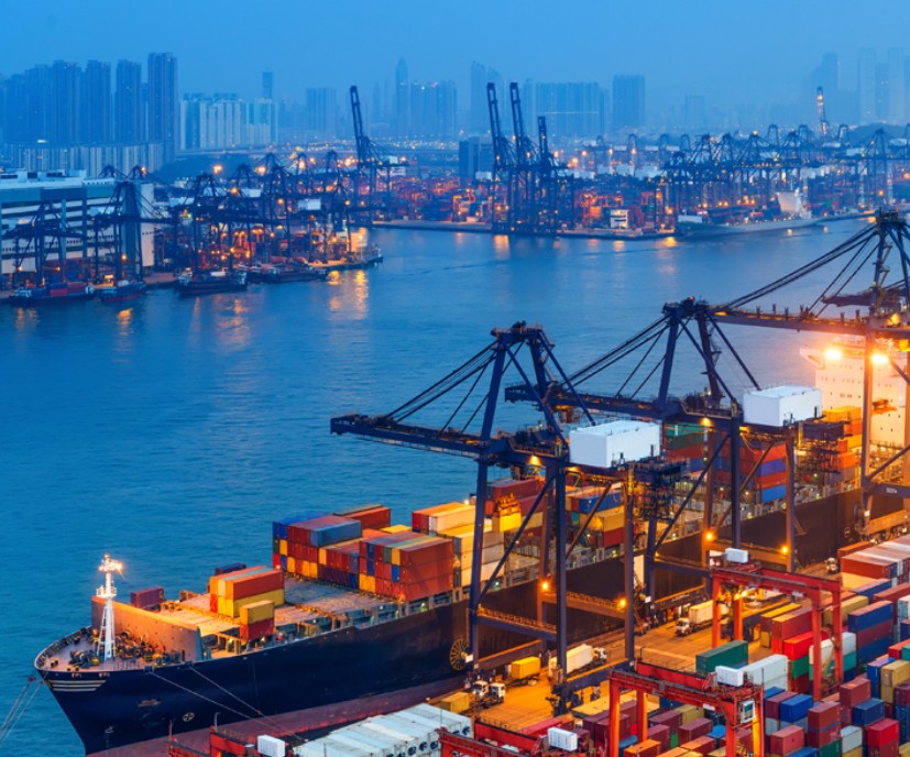 What is the role of international sea freight?
