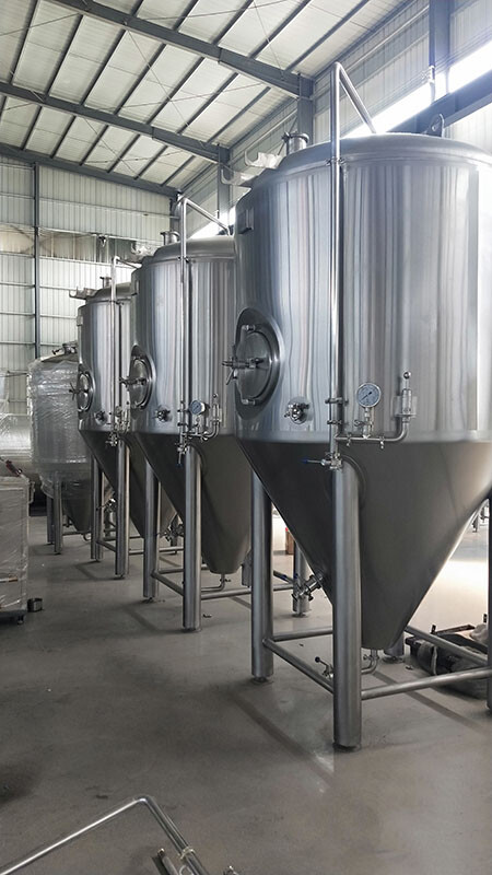 2000L  Stainless Steel Conical Fermenter for Craft Beer | Tonsen Brewery Equipment