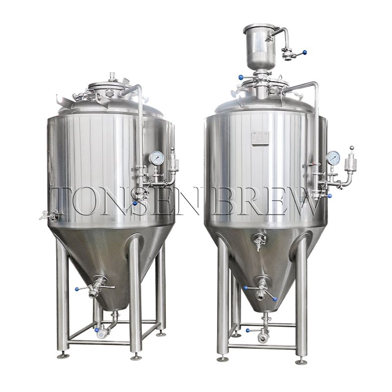 Why the Fermentation of Ales and Lagers Differs Greatly?