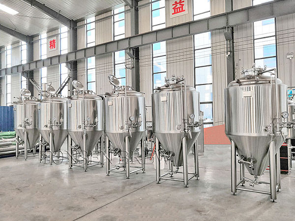Elevate Your Brewing Experience with Tonsen Beer Equipment Services