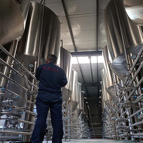 Is brewing beer an expensive hobby? A comprehensive analysis of cost, value and return on investment