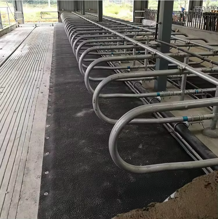 A Powerful Tool for Reducing Livestock Stress and Disease—An In-Depth Look at Cattle and Sheep Mats