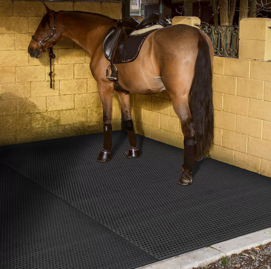 Rubber Horse Stall Mat (6ft x 4ft) Bubble Top Rubber Horse Stall Mat (6ft x 4ft) Bubble Top
