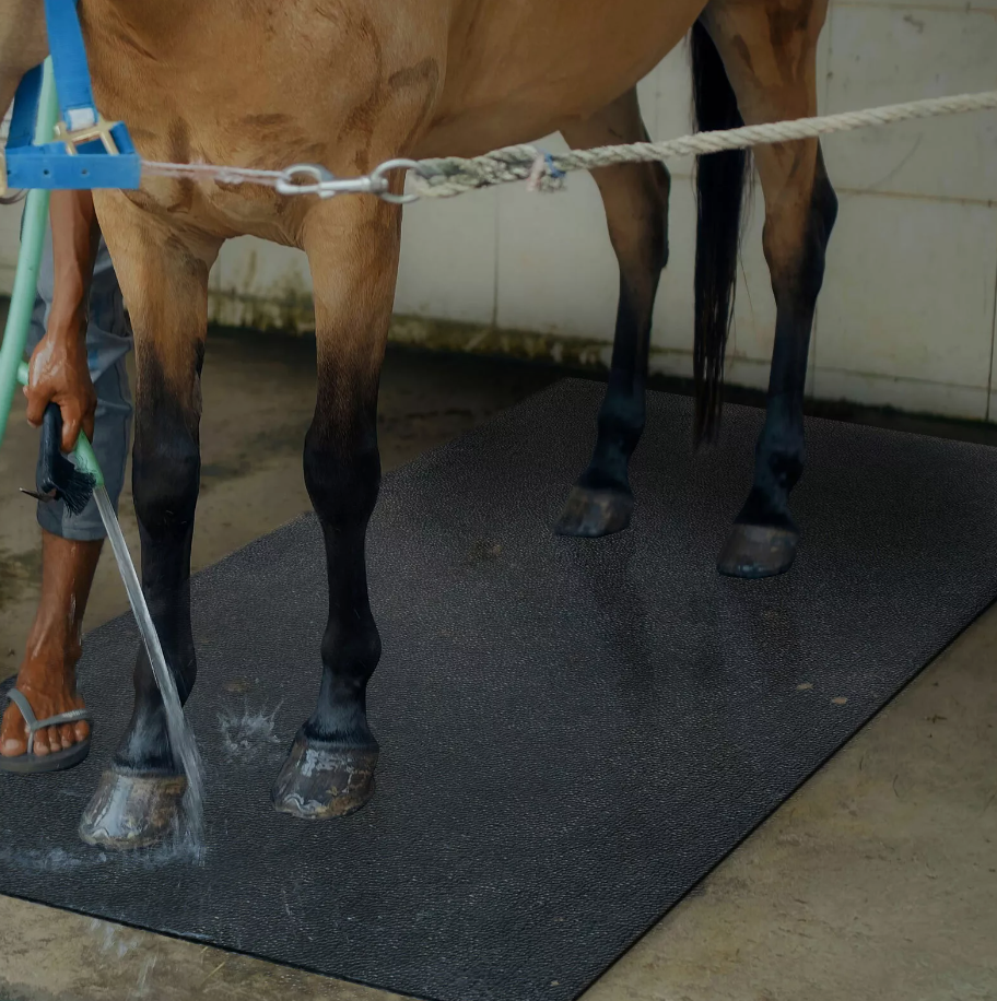 Enhancing Livestock Comfort and Farm Efficiency: The Benefits of Cow and Sheep Mats