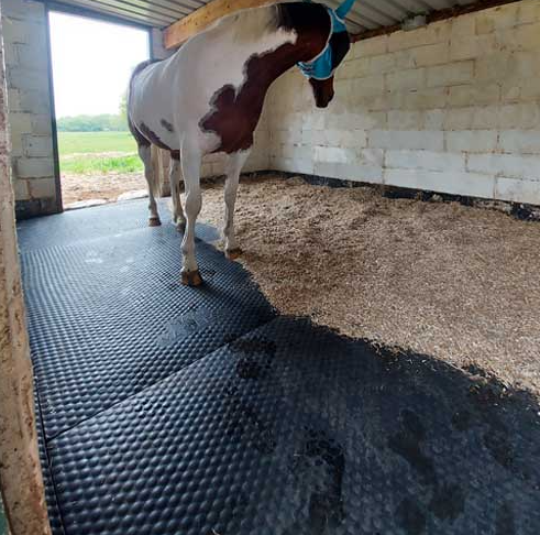 Cattle and Sheep Mats: Safeguarding Livestock Health