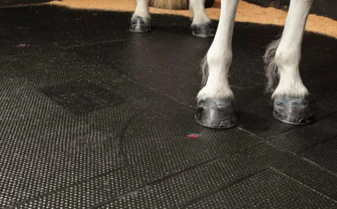 Stall Mats: Creating a Comfortable and Healthy Environment for Horses