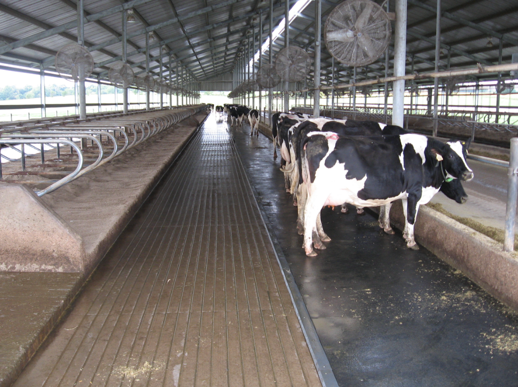 High-Performance Cattle and Sheep Mat