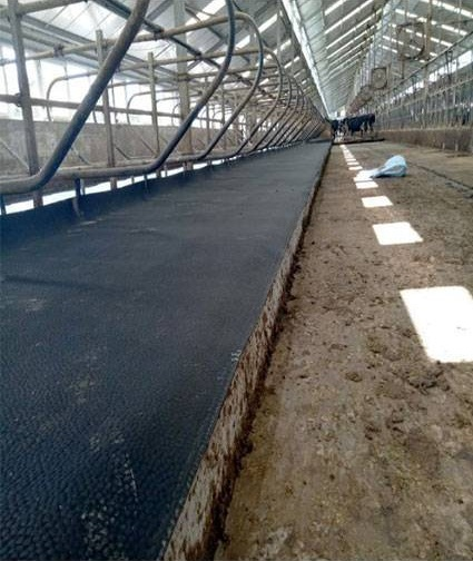Hammer Top Mattress