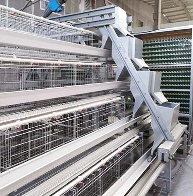 Do you know that in order to give your birds the best environment the poultry equipment you use matters a lot