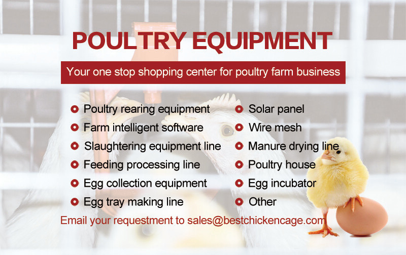 2-2.jpg Do you know about the battery cage system in poultry it is equipped with feeding and watering systems, as well as egg collection facilities