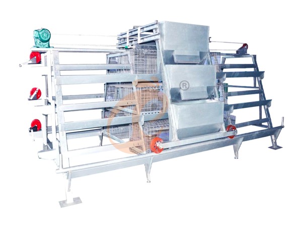 Day old chicken cage design (7)