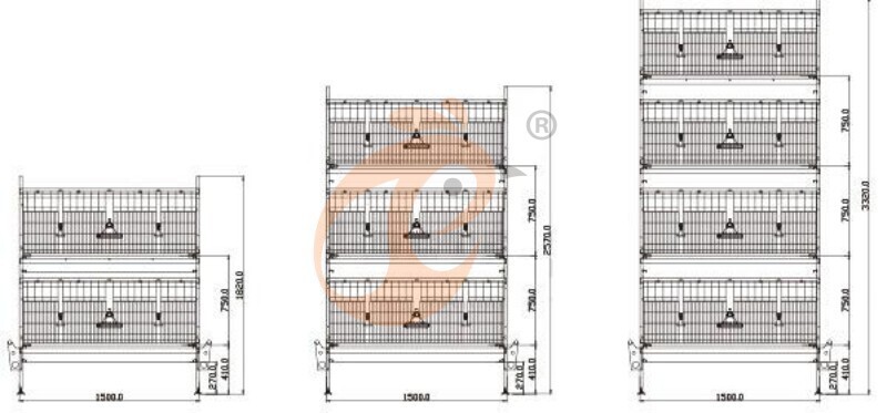 broiler chicken cage design (1)