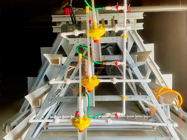 Broiler chicken cage (3) Broiler chicken cage (3)