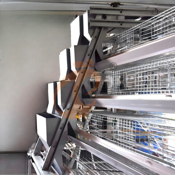 Poultry feeding system (4) Poultry feeding system (4)