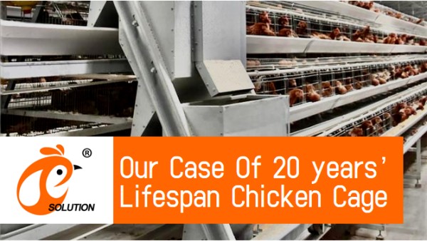 battery cage poultry farm (6) battery cage poultry farm (6)