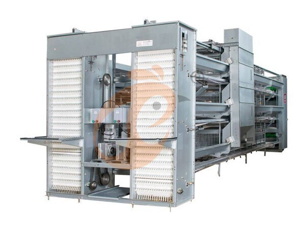 chicken battery cage poultry farm 1 (14)