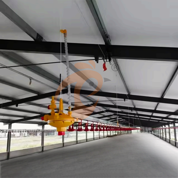 1761886106842745170492133376 deep litter system 1 (2)