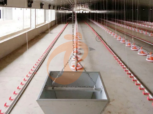 1761626726841657253753499648 deep litter system (9)