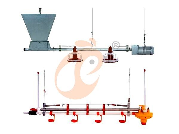 1761631572841677579359072256 deep litter system (12)