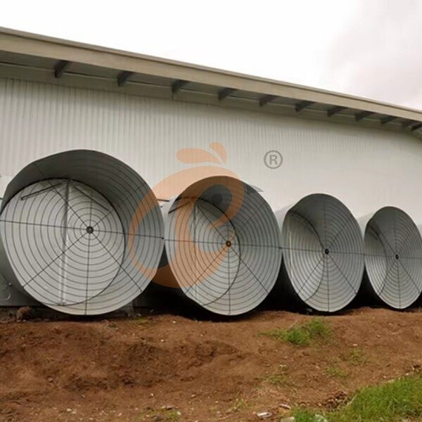1761886214842745625540562944 deep litter system 1 (9)