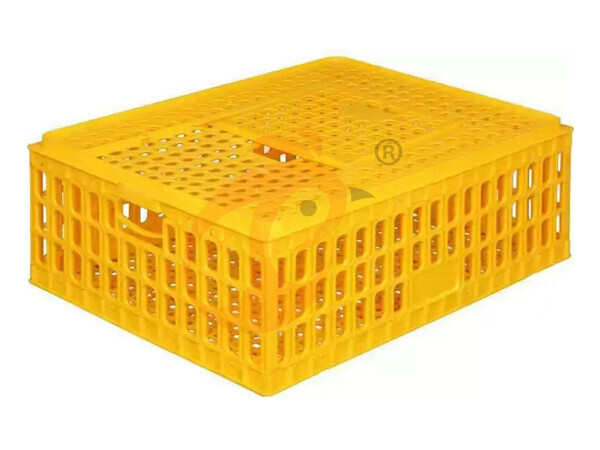 Nigeria Branch Offer Poultry Farm Business Plan, Manufacture Poultry Farm Equipment