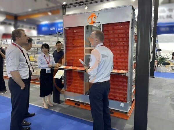 China Branch Offer Poultry Farm Business Plan, Manufacture Poultry Farm Equipment