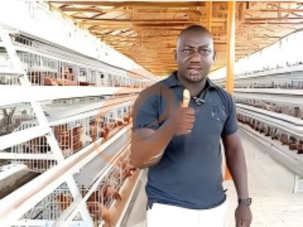 battery cage price for layer chicken in poultry farm (38)