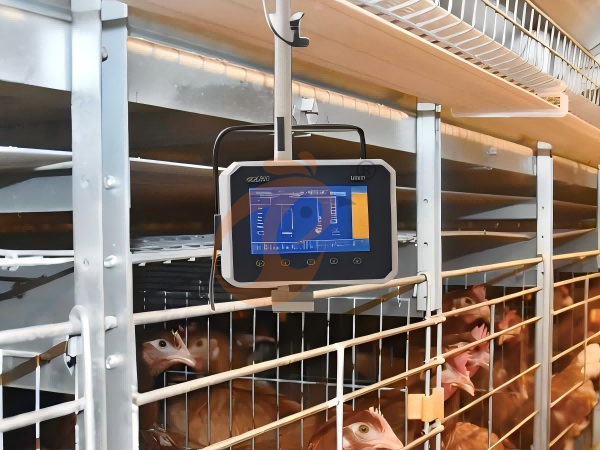 Poultry Feeding And Drinking Smart IoT Equipment System