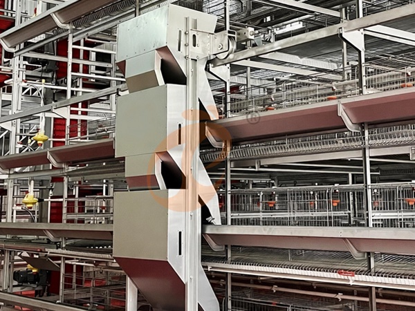 Feed System1 (3)