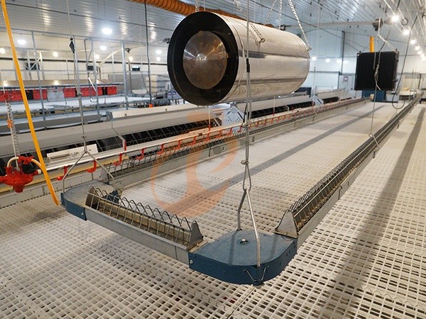 Feed System1 (5) Feed System1 (5)