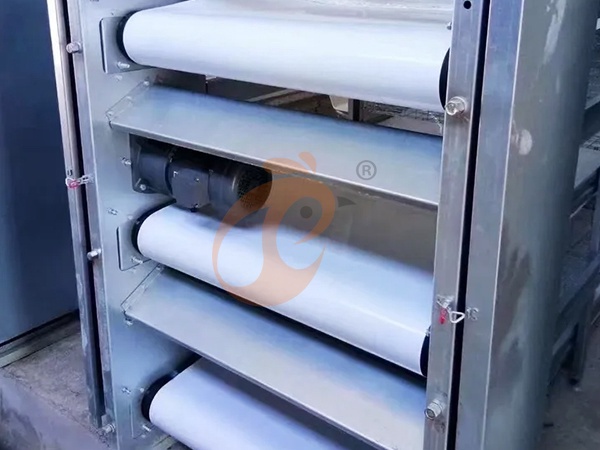 Manure Removal System2 (3)