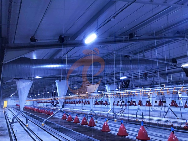 Chicken Coop Lighting Equipment1 (5)