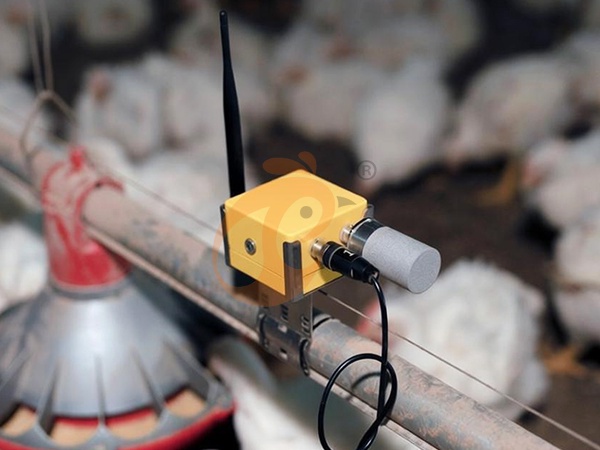 Intelligent Device1 (4)