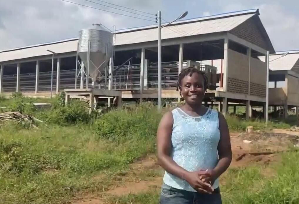 How broiler production in Nigeria working in poultry farm