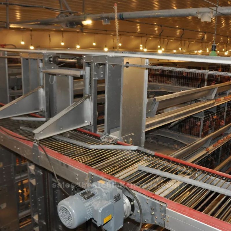 鸡笼或蛋鸡笼H (16).jpg What is the definition of battery cage for layers