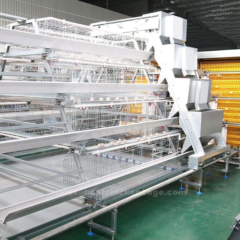 Importance of our automatic chicken cage