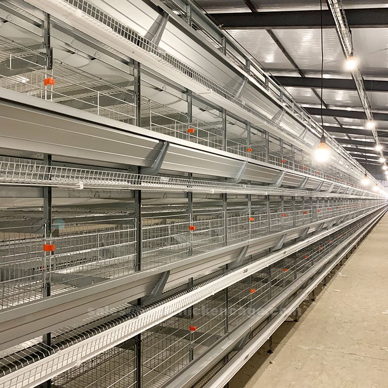 鸡笼或蛋鸡笼H (84).jpg What is a battery cage and are battery cages cruel