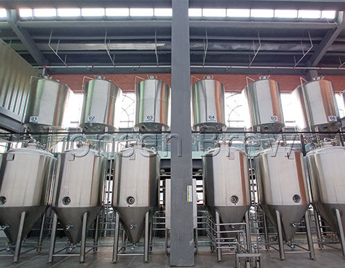 Fábrica de cerveza de 5000L / 50HL
