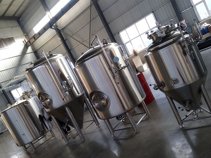 Tanque de fermentación de 300L