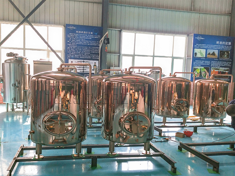 Tanque de cerveza brillante de 1000L