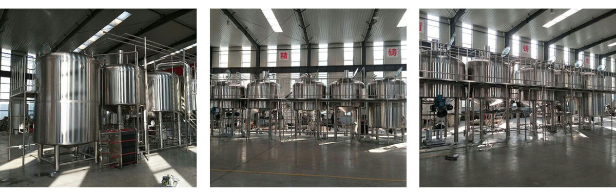Fábrica de cerveza de 5000L / 50HL