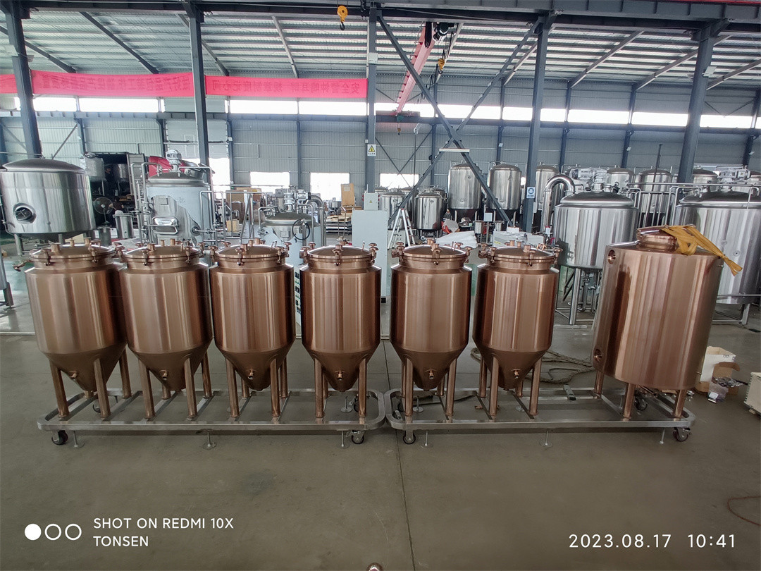 Equipo de Micro Cervecería de 100l mediante proceso de galvanoplastia.